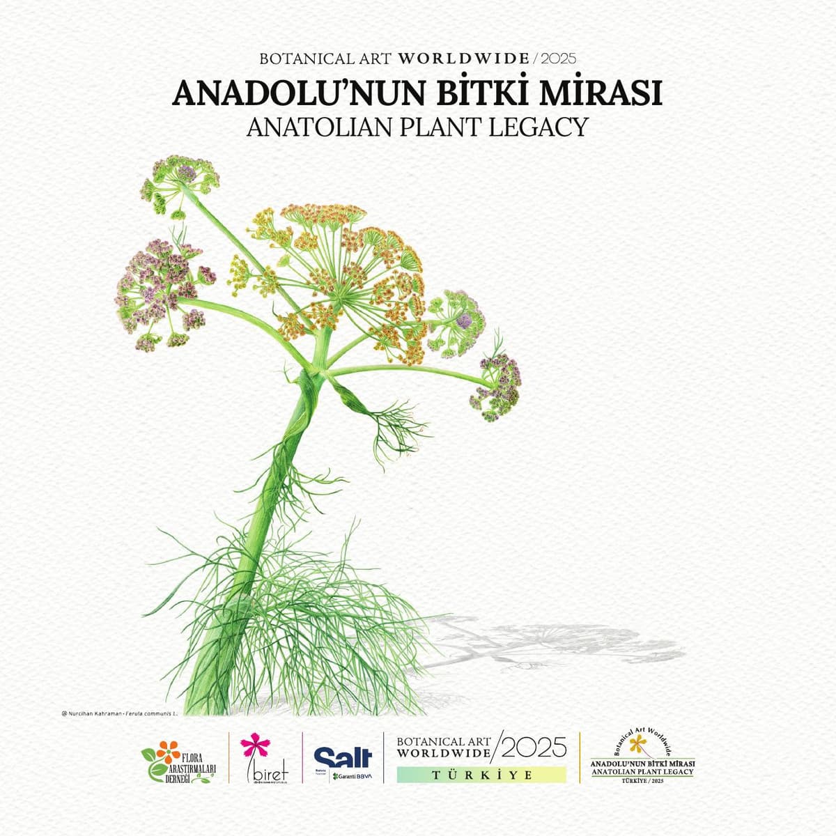 Botanical Art Worldwide 2025