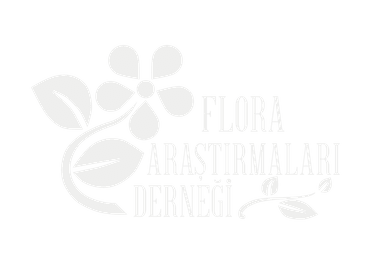 Sponsor 3